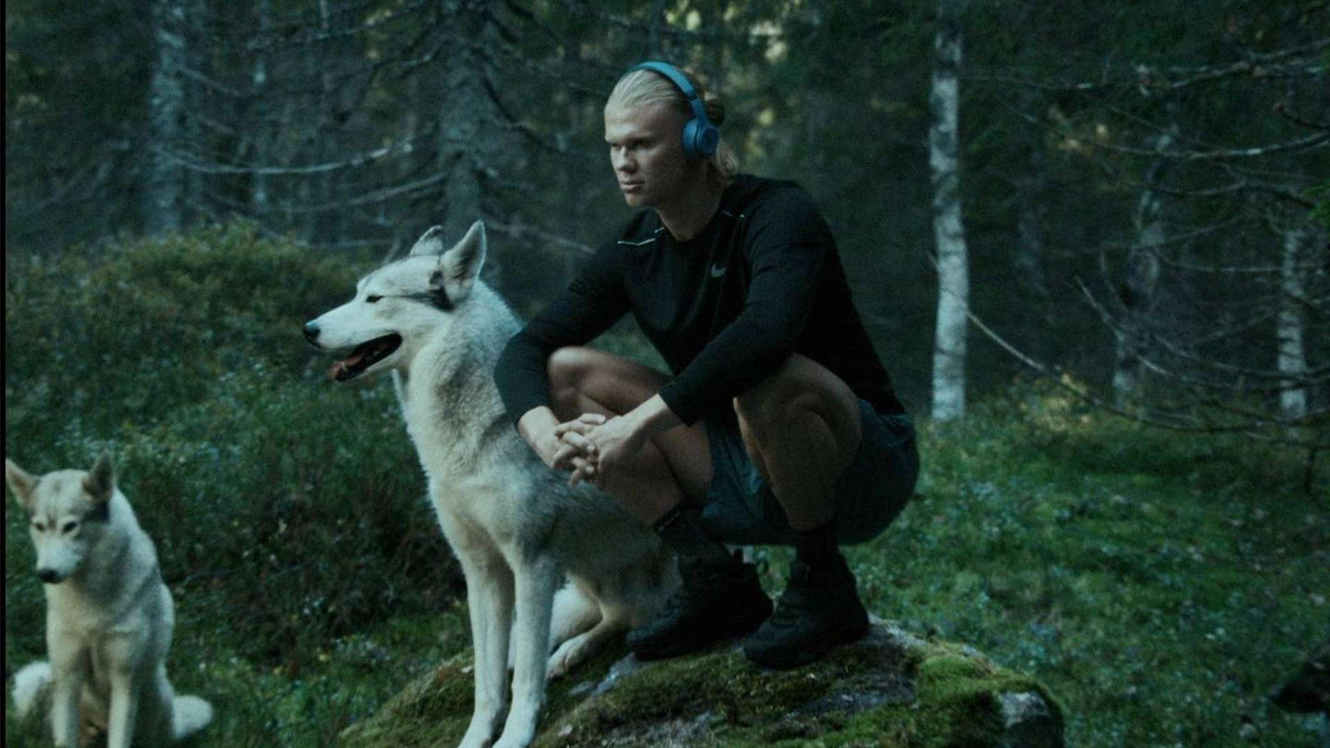 必须灵活多 必须灵活多