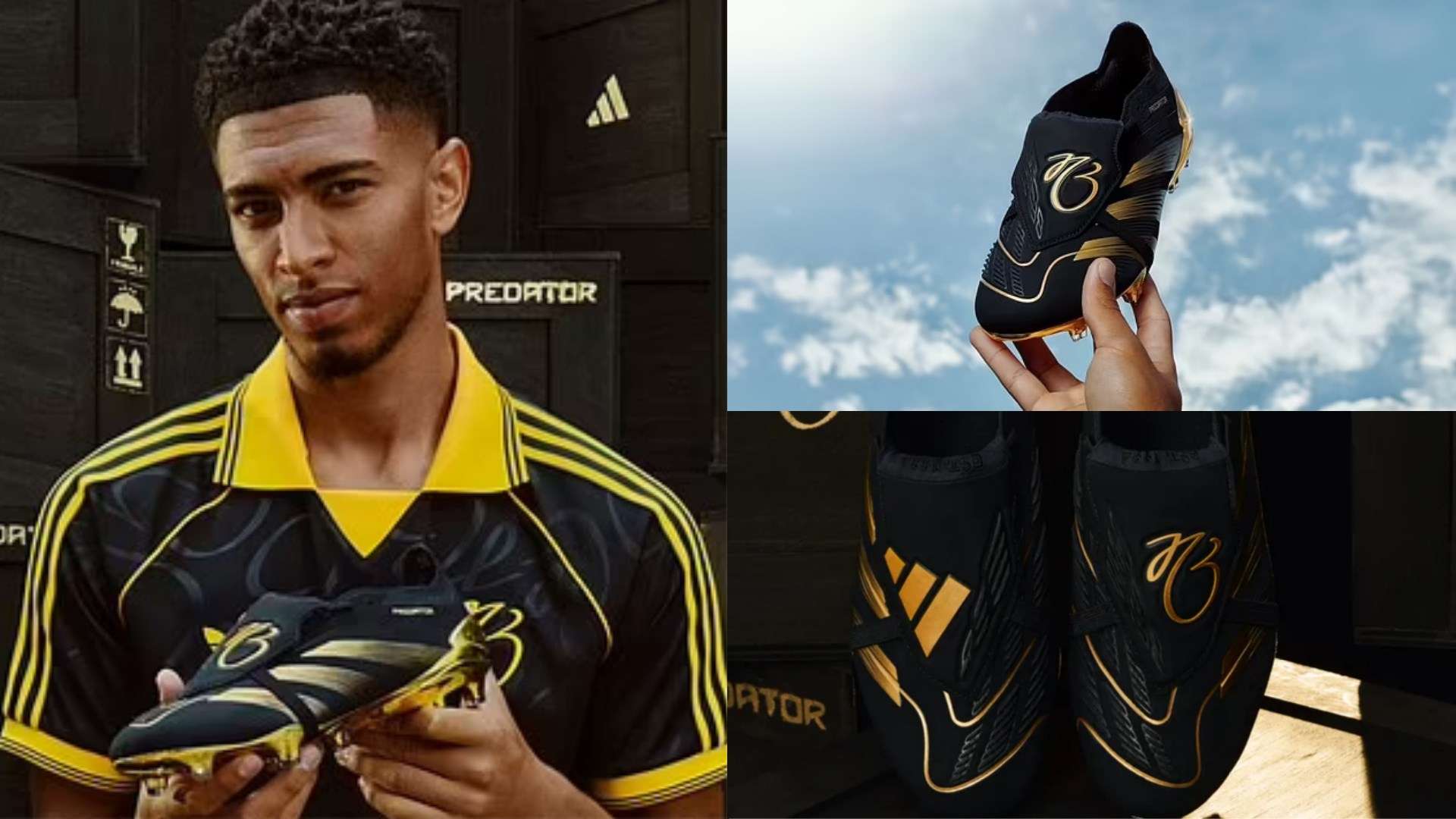 本次培训为 本次培训为